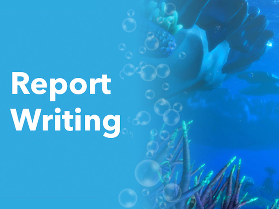 Game2Learn English: Report Writing